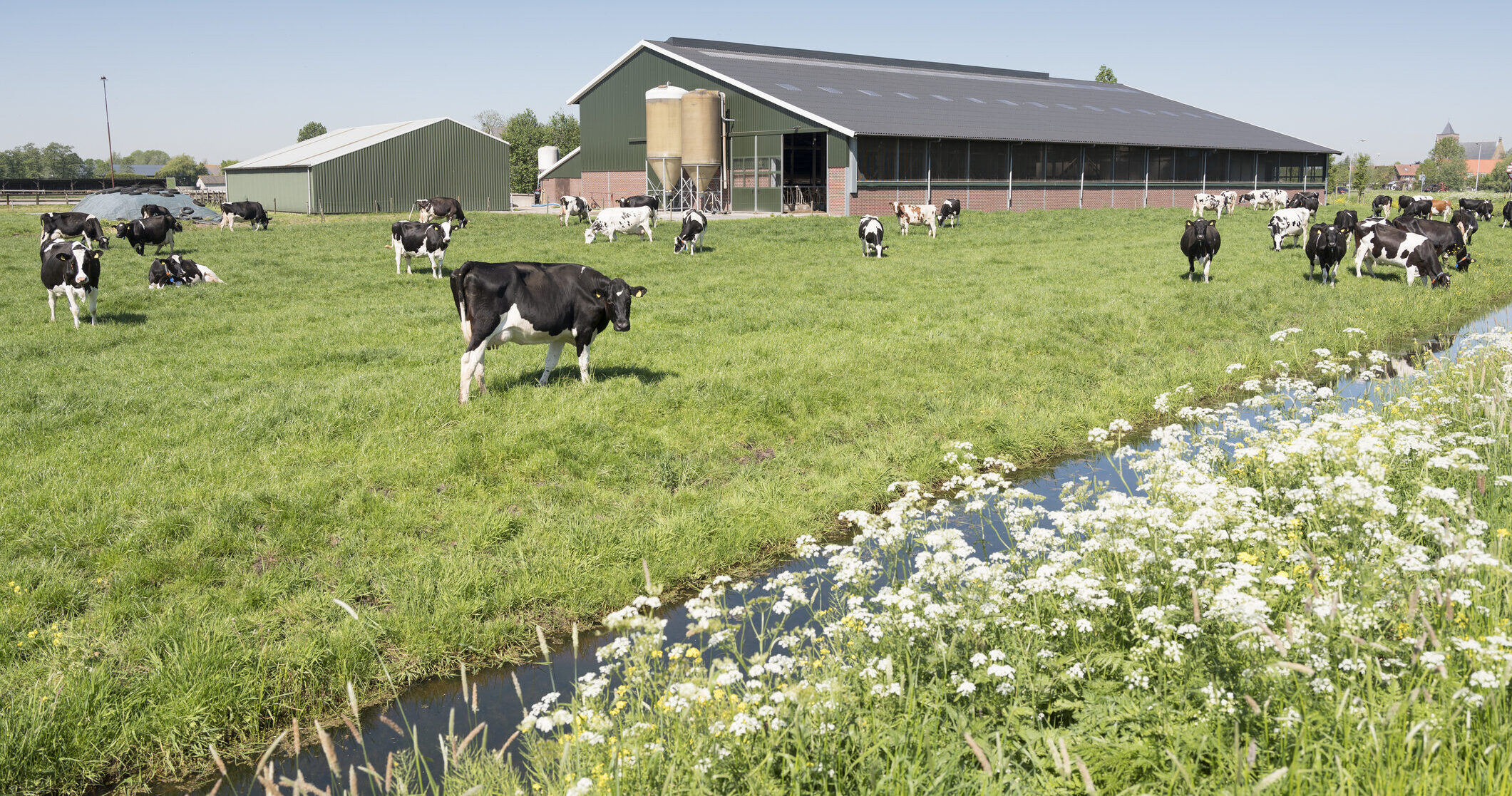 Het Didam arrest en de agrarische sector