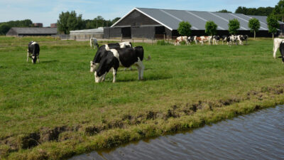 Recht van bedrijfsopvolging door kind zonder testament van ouder