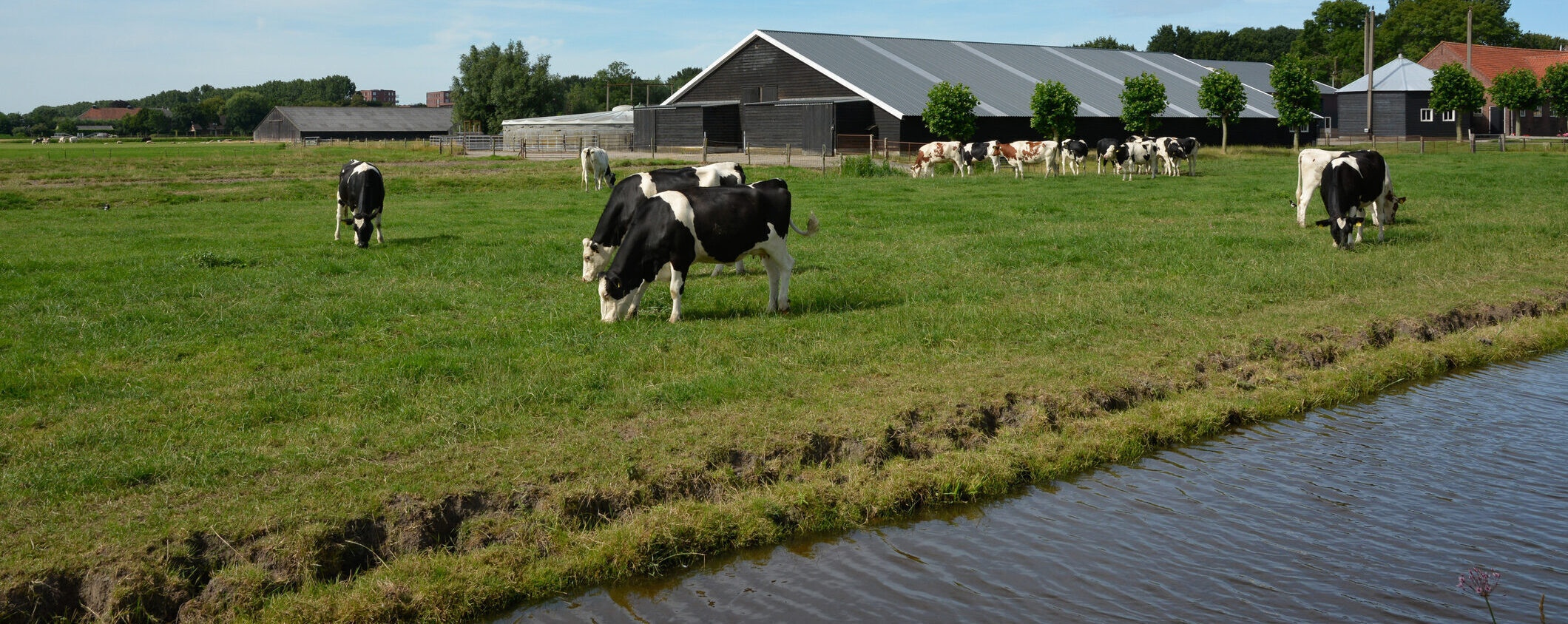 Recht van bedrijfsopvolging door kind zonder testament van ouder